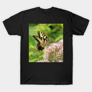 Butterfly on pink purple flowers T-Shirt